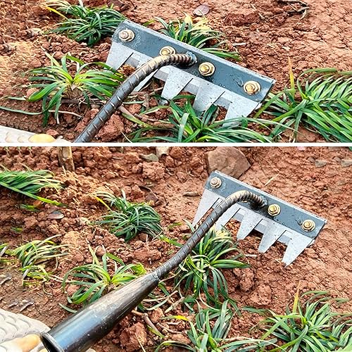 5-Teeth Carbon Steel Weeding Tool